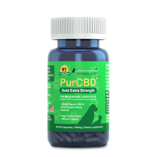 Innovet Pet CBD Review 30 Off Coupon Code CBDNerds